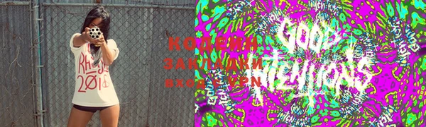 прущие грибы Великий Новгород