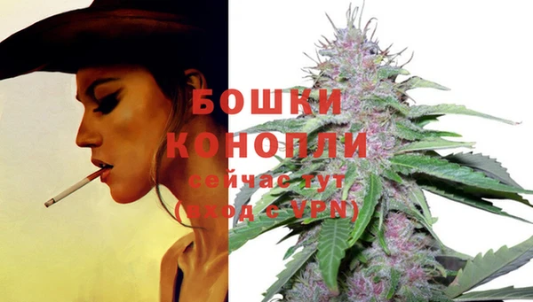 гидра Магадан