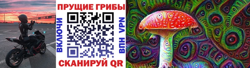 Псилоцибиновые грибы Psilocybine cubensis  Бакал 